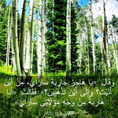 Picture 03 - اَلتَّكْوِينُ 16:8 AVD - وَقَالَ: «يَا هَاجَرُ - Bible Verse Picture