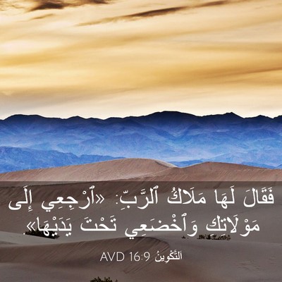 Picture 03 - اَلتَّكْوِينُ 16:9 AVD - فَقَالَ لَهَا مَلَاكُ - Bible Verse Picture