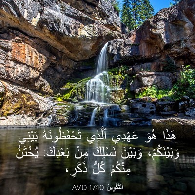 Picture 03 - اَلتَّكْوِينُ 17:10 AVD - هَذَا هُوَ عَهْدِي ٱلَّذِي - Bible Verse Picture
