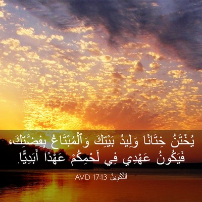 Picture 03 - اَلتَّكْوِينُ 17:13 AVD - يُخْتَنُ خِتَانًا وَلِيدُ - Bible Verse Picture