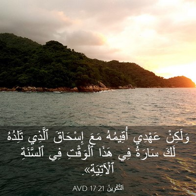 Picture 03 - اَلتَّكْوِينُ 17:21 AVD - وَلَكِنْ عَهْدِي - Bible Verse Picture
