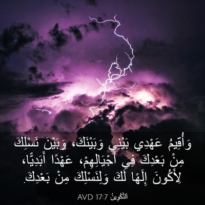 Picture 03 - اَلتَّكْوِينُ 17:7 AVD - وَأُقِيمُ عَهْدِي بَيْنِي - Bible Verse Picture