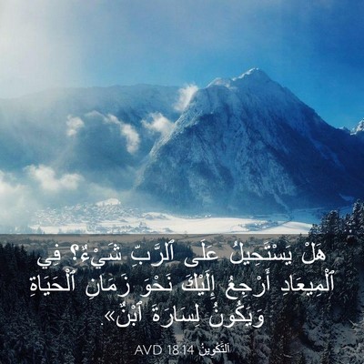 Picture 03 - اَلتَّكْوِينُ 18:14 AVD - هَلْ يَسْتَحِيلُ عَلَى - Bible Verse Picture