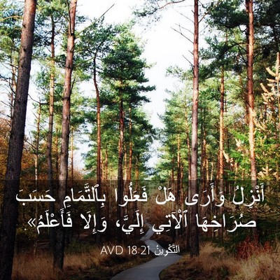 Picture 03 - اَلتَّكْوِينُ 18:21 AVD - أَنْزِلُ وَأَرَى هَلْ - Bible Verse Picture