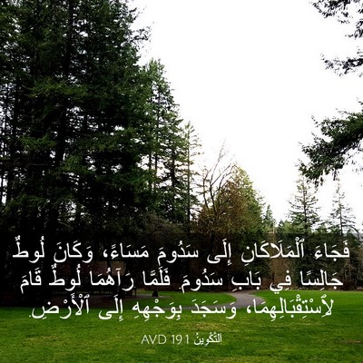 Picture 03 - اَلتَّكْوِينُ 19:1 AVD - فَجَاءَ ٱلْمَلَاكَانِ - Bible Verse Picture