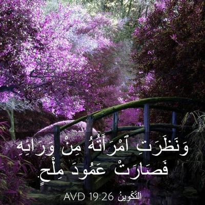 Picture 03 - اَلتَّكْوِينُ 19:26 AVD - وَنَظَرَتِ ٱمْرَأَتُهُ - Bible Verse Picture