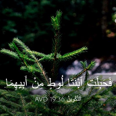 Picture 03 - اَلتَّكْوِينُ 19:36 AVD - فَحَبِلَتِ ٱبْنَتَا لُوطٍ - Bible Verse Picture