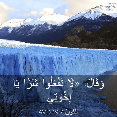 Picture 03 - اَلتَّكْوِينُ 19:7 AVD - وَقَالَ: «لَا تَفْعَلُوا - Bible Verse Picture