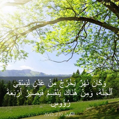 Picture 03 - اَلتَّكْوِينُ 2:10 AVD - وَكَانَ نَهْرٌ يَخْرُجُ - Bible Verse Picture