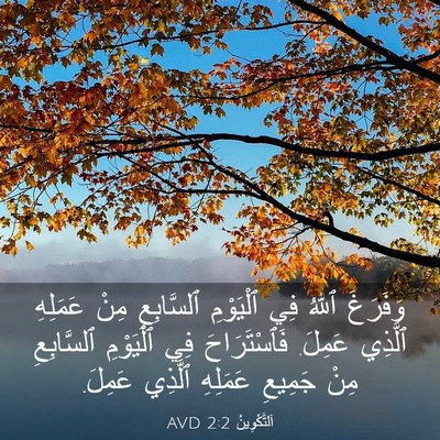 Picture 03 - اَلتَّكْوِينُ 2:2 AVD - وَفَرَغَ ٱللهُ فِي - Bible Verse Picture