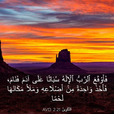 Picture 03 - اَلتَّكْوِينُ 2:21 AVD - فَأَوْقَعَ ٱلرَّبُّ - Bible Verse Picture