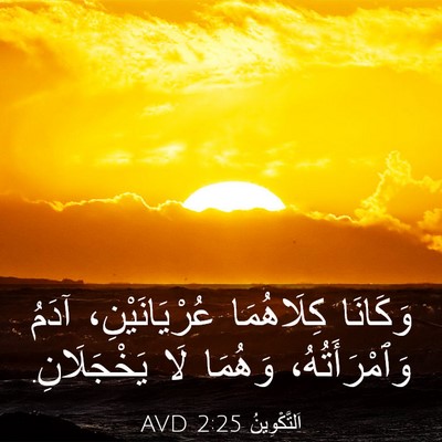 Picture 03 - اَلتَّكْوِينُ 2:25 AVD - وَكَانَا كِلَاهُمَا - Bible Verse Picture