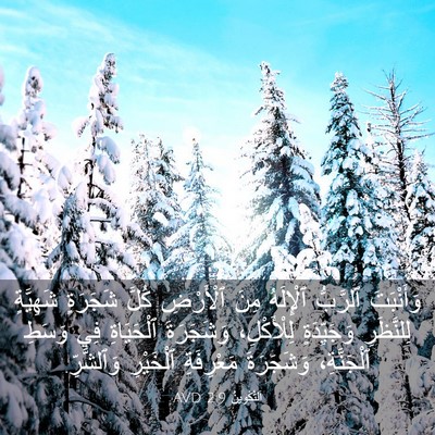 Picture 03 - اَلتَّكْوِينُ 2:9 AVD - وَأَنْبَتَ ٱلرَّبُّ - Bible Verse Picture