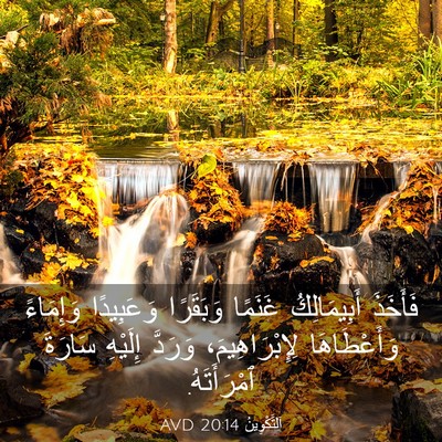 Picture 03 - اَلتَّكْوِينُ 20:14 AVD - فَأَخَذَ أَبِيمَالِكُ - Bible Verse Picture