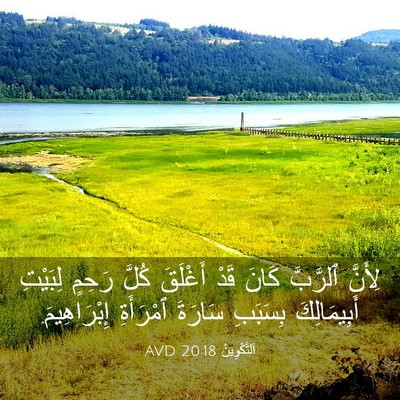 Picture 03 - اَلتَّكْوِينُ 20:18 AVD - لِأَنَّ ٱلرَّبَّ كَانَ - Bible Verse Picture