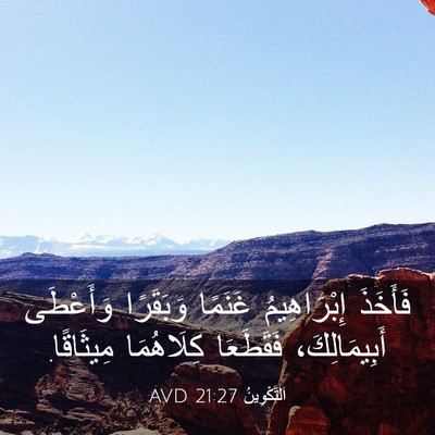 Picture 03 - اَلتَّكْوِينُ 21:27 AVD - فَأَخَذَ إِبْرَاهِيمُ - Bible Verse Picture