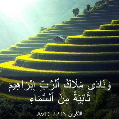 Picture 03 - اَلتَّكْوِينُ 22:15 AVD - وَنَادَى مَلَاكُ ٱلرَّبِّ - Bible Verse Picture
