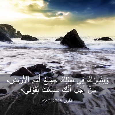 Picture 03 - اَلتَّكْوِينُ 22:18 AVD - وَيَتَبَارَكُ فِي - Bible Verse Picture