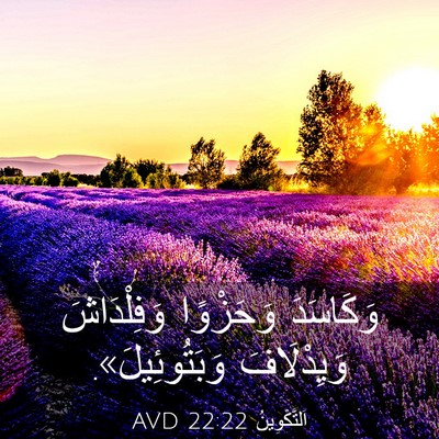 Picture 03 - اَلتَّكْوِينُ 22:22 AVD - وَكَاسَدَ وَحَزْوًا - Bible Verse Picture