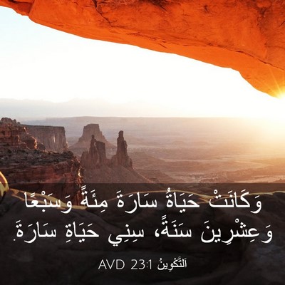 Picture 03 - اَلتَّكْوِينُ 23:1 AVD - وَكَانَتْ حَيَاةُ سَارَةَ - Bible Verse Picture