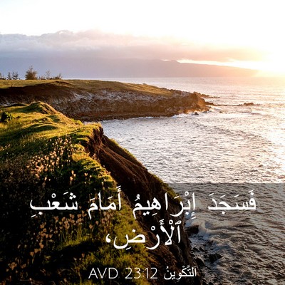 Picture 03 - اَلتَّكْوِينُ 23:12 AVD - فَسَجَدَ إِبْرَاهِيمُ - Bible Verse Picture