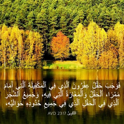 Picture 03 - اَلتَّكْوِينُ 23:17 AVD - فَوَجَبَ حَقْلُ عِفْرُونَ - Bible Verse Picture