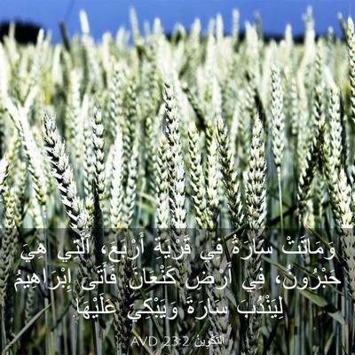 Picture 03 - اَلتَّكْوِينُ 23:2 AVD - وَمَاتَتْ سَارَةُ فِي - Bible Verse Picture