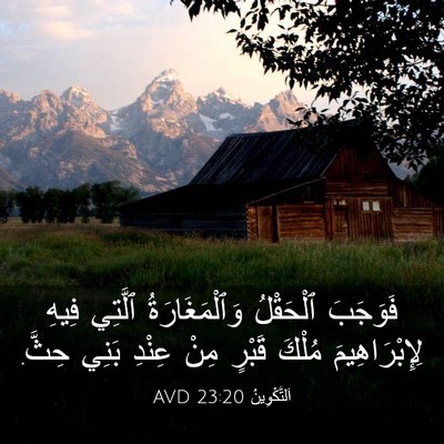 Picture 03 - اَلتَّكْوِينُ 23:20 AVD - فَوَجَبَ ٱلْحَقْلُ - Bible Verse Picture