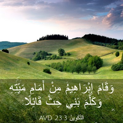 Picture 03 - اَلتَّكْوِينُ 23:3 AVD - وَقَامَ إِبْرَاهِيمُ مِنْ - Bible Verse Picture
