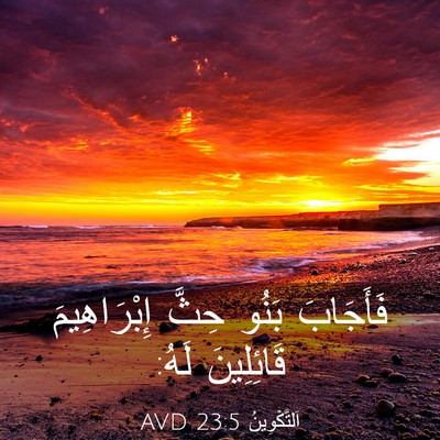 Picture 03 - اَلتَّكْوِينُ 23:5 AVD - فَأَجَابَ بَنُو حِثَّ - Bible Verse Picture