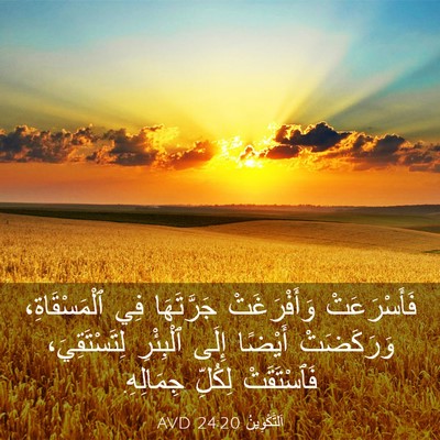 Picture 03 - اَلتَّكْوِينُ 24:20 AVD - فَأَسْرَعَتْ وَأَفْرَغَتْ - Bible Verse Picture