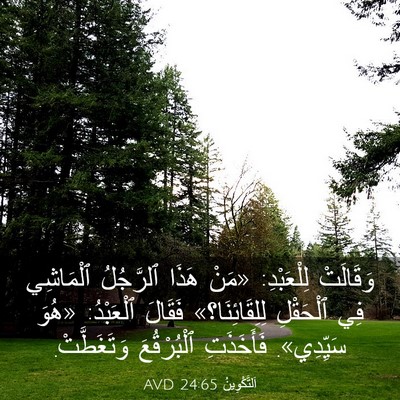 Picture 03 - اَلتَّكْوِينُ 24:65 AVD - وَقَالَتْ لِلْعَبْدِ: - Bible Verse Picture