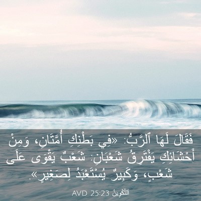 Picture 03 - اَلتَّكْوِينُ 25:23 AVD - فَقَالَ لَهَا ٱلرَّبُّ: - Bible Verse Picture
