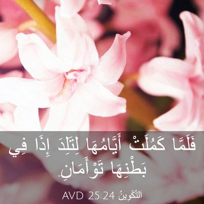 Picture 03 - اَلتَّكْوِينُ 25:24 AVD - فَلَمَّا كَمُلَتْ - Bible Verse Picture