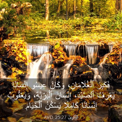 Picture 03 - اَلتَّكْوِينُ 25:27 AVD - فَكَبِرَ ٱلْغُلَامَانِ، - Bible Verse Picture