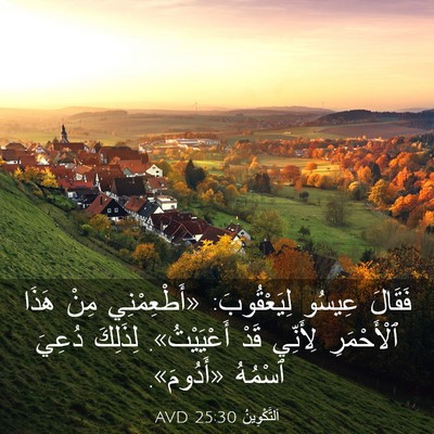 Picture 03 - اَلتَّكْوِينُ 25:30 AVD - فَقَالَ عِيسُو - Bible Verse Picture