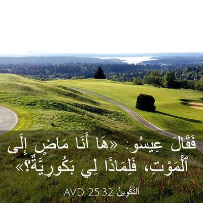 Picture 03 - اَلتَّكْوِينُ 25:32 AVD - فَقَالَ عِيسُو: «هَا أَنَا - Bible Verse Picture