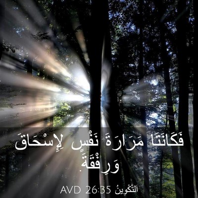 Picture 03 - اَلتَّكْوِينُ 26:35 AVD - فَكَانَتَا مَرَارَةَ - Bible Verse Picture