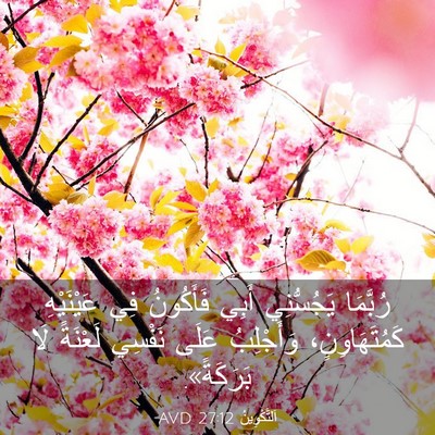 Picture 03 - اَلتَّكْوِينُ 27:12 AVD - رُبَّمَا يَجُسُّنِي أَبِي - Bible Verse Picture