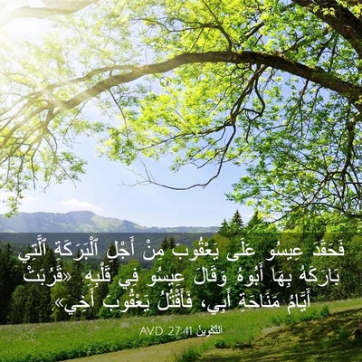 Picture 03 - اَلتَّكْوِينُ 27:41 AVD - فَحَقَدَ عِيسُو عَلَى - Bible Verse Picture