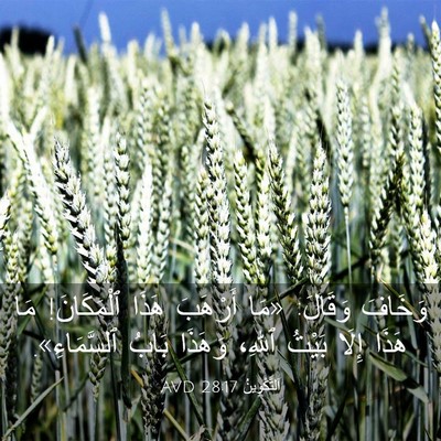 Picture 03 - اَلتَّكْوِينُ 28:17 AVD - وَخَافَ وَقَالَ: «مَا - Bible Verse Picture