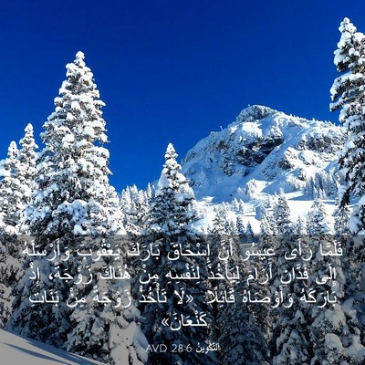 Picture 03 - اَلتَّكْوِينُ 28:6 AVD - فَلَمَّا رَأَى عِيسُو - Bible Verse Picture