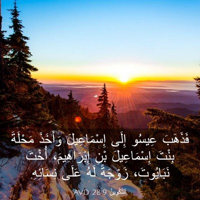 Picture 03 - اَلتَّكْوِينُ 28:9 AVD - فَذَهَبَ عِيسُو إِلَى - Bible Verse Picture