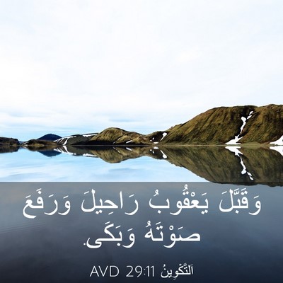 Picture 03 - اَلتَّكْوِينُ 29:11 AVD - وَقَبَّلَ يَعْقُوبُ - Bible Verse Picture
