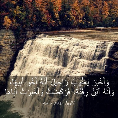 Picture 03 - اَلتَّكْوِينُ 29:12 AVD - وَأَخْبَرَ يَعْقُوبُ - Bible Verse Picture