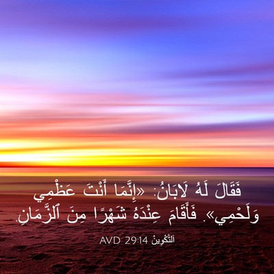 Picture 03 - اَلتَّكْوِينُ 29:14 AVD - فَقَالَ لَهُ لَابَانُ: - Bible Verse Picture