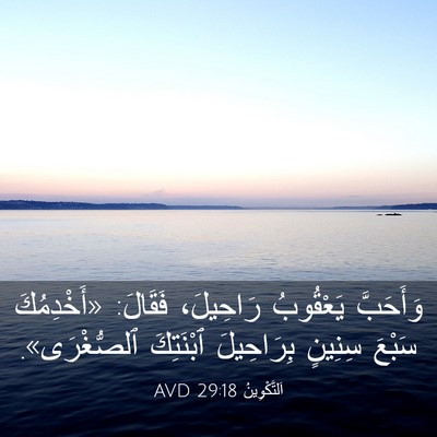 Picture 03 - اَلتَّكْوِينُ 29:18 AVD - وَأَحَبَّ يَعْقُوبُ - Bible Verse Picture