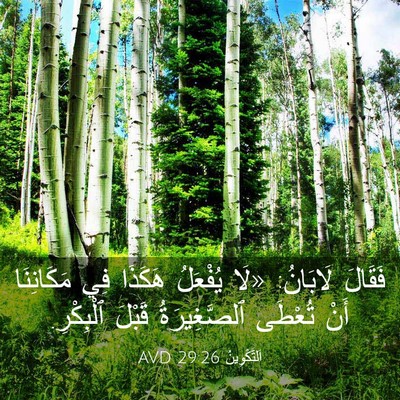 Picture 03 - اَلتَّكْوِينُ 29:26 AVD - فَقَالَ لَابَانُ: «لَا - Bible Verse Picture