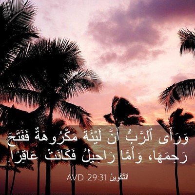 Picture 03 - اَلتَّكْوِينُ 29:31 AVD - وَرَأَى ٱلرَّبُّ أَنَّ - Bible Verse Picture