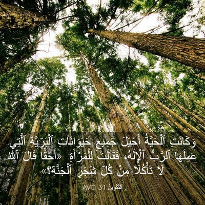 Picture 03 - اَلتَّكْوِينُ 3:1 AVD - وَكَانَتِ ٱلْحَيَّةُ - Bible Verse Picture
